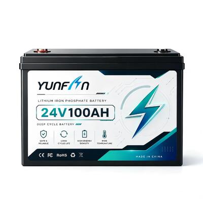 kwaliteit Fabrieksdirect 25.6V 100Ah Lithium Iron Phosphate Battery 2560Wh 5000 Cycles UPS Off-Grid Energy Storage Battery OEM ODM Beschikbaar fabriek
